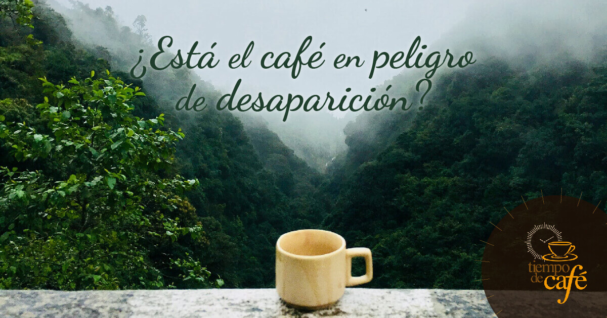 ¿Está el café en peligro de desaparición?