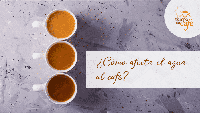 ¿Cómo afecta el agua al café?